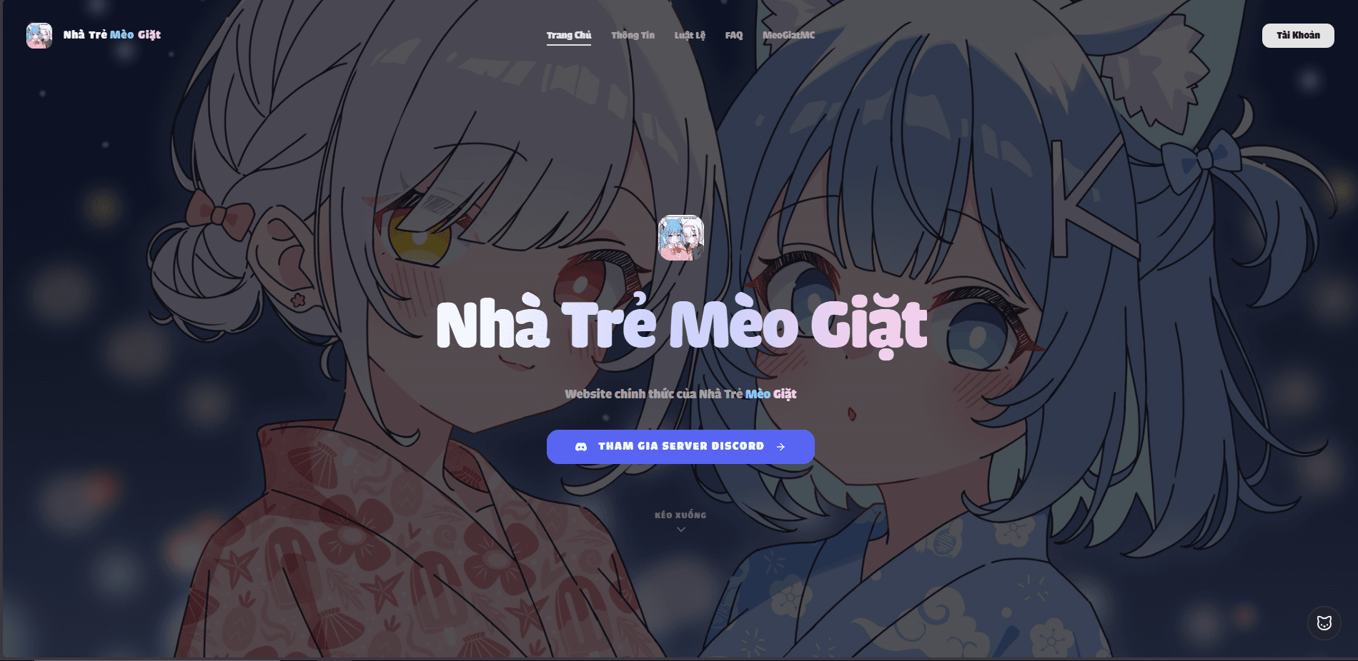 Nhà Trẻ Mèo Giặt